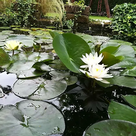 Dom wakacyjny Casale La Crocetta